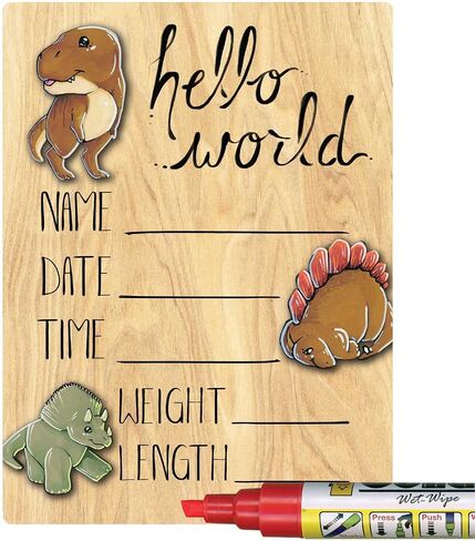 Hello World Newborn Baby Announcement Printed Wood Sign with Dinosaur Theme, 9 by 12 Inches, No Marker in Saudi Arabia