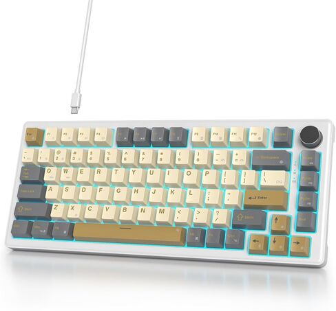 75 Percent Gasket Mounted Mechanical Keyboard Hot Swappable,Wired 87 Key TKL Mechanical Keyboard,RGB Backlit,Custom White Switch NKRO Gaming Keyboard Suitable for Win/Mac (Black) in Saudi Arabia