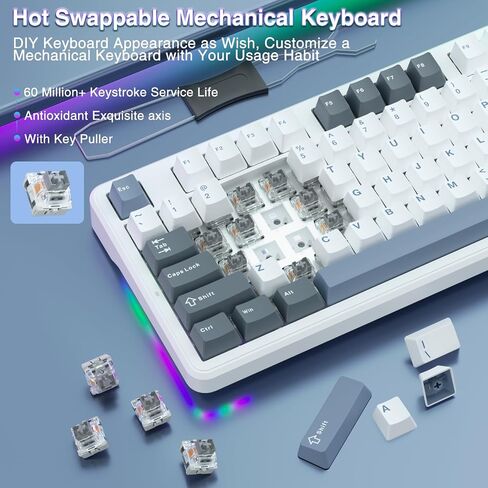AULA F87 Wired Gaming Keyboard, 75% TKL Gasket Hot Swappable Custom Keyboard with Detachable USB Cable, Pre-lubed Greywood Switches, RGB Backlit Mechanical Gaming Keyboard for WINS/PC/Mac (White Blue) in Saudi Arabia