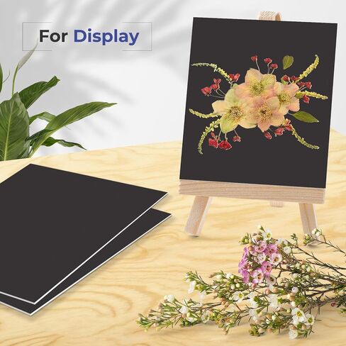 AUEAR, Pack of 10 8x10 Uncut Picture Mat Boards, Black Backing Matte Boards for Frame, Print, Artwork, Picture in Kuwait