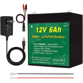 Talentcell 12V 6Ah LiFePO4 Battery Pack LF4011, 2000 Cycles Rechargeable 12.8V 76.8Wh Lithium Iron Phosphate Battery with 14.6V Charger