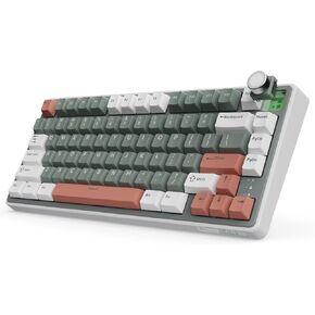 RK ROYAL KLUDGE R75 Wireless Mechanical Keyboard, 75% Percent Custom Gaming Keyboard Gasket Mount RGB Backlit with Knob & PBT Keycaps, BT5.1/2.4GHz/USB-C, QMK/VIA, Hot Swappable Cream Switch