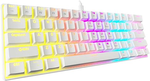 Mechanical Keyboard, 60% Mechanical Gaming Keyboard with Blue Switches and Dynamic 19-Mode Backlight - Plug and Play, 61-Key, Anti-Ghosting, for PC, Windows, Mac, Gamer, Office, Typists in Saudi Arabia