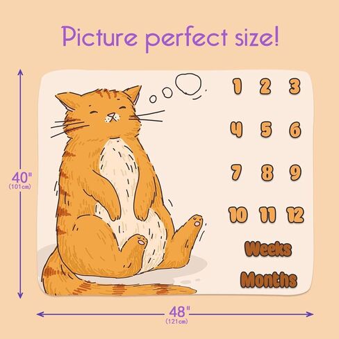 بطانية مايلستون الشهرية للطفل مقاس 48 × 40 بوصة، بطانية شهرية لخلفية التصوير الفوتوغرافي لقطط كبيرة منفوشة، بطانية ذاكرة مخصصة لنمو الطفل من الفلانيل BTLSPH968 in Kuwait