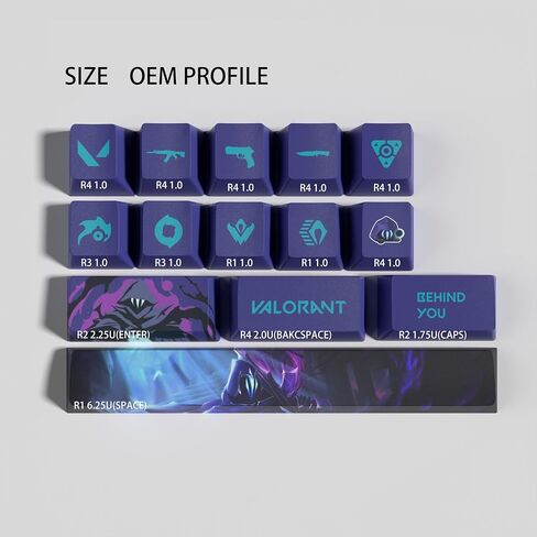 Valorant Custom Keycaps OEM Profile 14keys PBT Dye Sub Keycap مجموعة للوحات المفاتيح الميكانيكية، ملحقات ألعاب هدايا Valorant للاعبين (رينا) in Saudi Arabia