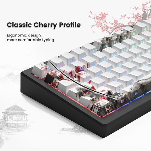 Womier Shine Through Keycaps - PBT Custom Keycaps Set, 127 Keys Plum Blossom, Dye-Sublimation Cherry Profile Keyboard Key Caps for Cherry Gateron MX Switches Mechanical Keyboards in Saudi Arabia