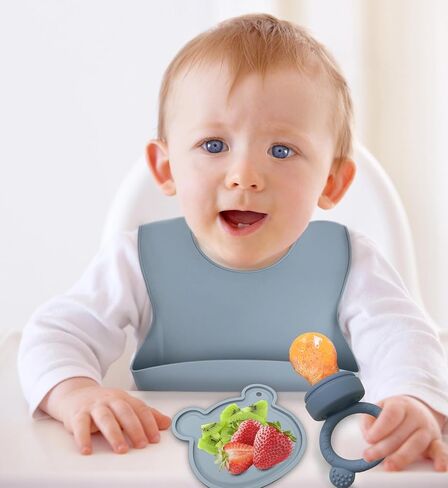 Baby Fruit Feeder &silicone baby feeding set ，Baby Fruit Food Feeder Teether Tray，BPA Free Teething Toys for Safe Infant Self Feeding，Match with a baby bib，2 Extra Pouches(Blue) in Saudi Arabia