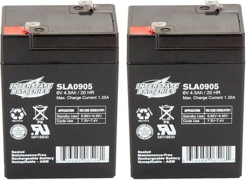 Interstate Batteries 6V 4.5Ah Battery (F1 Terminal) SLA AGM VRLA Rechargeable Replacement for Blood Pressure Monitors, Oxygen & Pulse Meters, Deer Feeders, Medical Devices (SLA0905) in Saudi Arabia