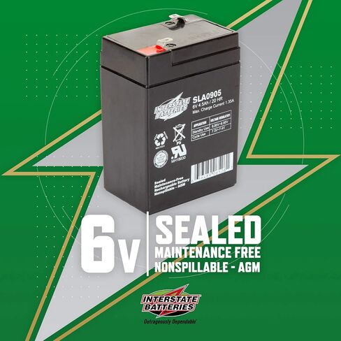 Interstate Batteries 6V 4.5Ah Battery (F1 Terminal) SLA AGM VRLA Rechargeable Replacement for Blood Pressure Monitors, Oxygen & Pulse Meters, Deer Feeders, Medical Devices (SLA0905) in Saudi Arabia