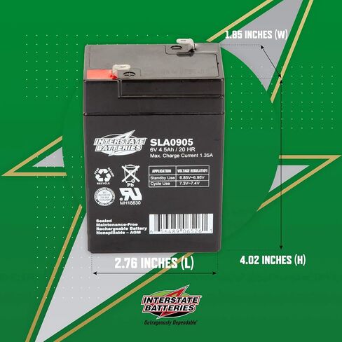 Interstate Batteries 6V 4.5Ah Battery (F1 Terminal) SLA AGM VRLA Rechargeable Replacement for Blood Pressure Monitors, Oxygen & Pulse Meters, Deer Feeders, Medical Devices (SLA0905) in Saudi Arabia