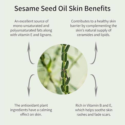 Stretch Mark & Scar Treatment & Protection– Bio Retinol Face & Body Oil for Treating Scars, Stretchmarks & Uneven Skin Tone. Contains Bakuchiol, Essential Vitamins & Nourishing Oils - 1.0 Fl Oz in Saudi Arabia