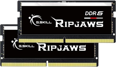 G.SKILL Ripjaws DDR5 SO-DIMM Series DDR5 RAM 64GB (2x32GB) 4800MT/s CL40-39-39-76 1.10V ذاكرة الكمبيوتر المحمول/الكمبيوتر المحمول غير المخزنة غير ECC SODIMM (F5-4800S4039A32GX2-RS) in Saudi Arabia
