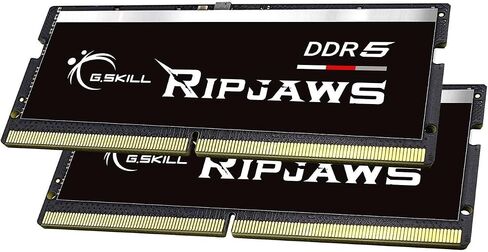 G.SKILL Ripjaws DDR5 SO-DIMM Series DDR5 RAM 64GB (2x32GB) 4800MT/s CL40-39-39-76 1.10V ذاكرة الكمبيوتر المحمول/الكمبيوتر المحمول غير المخزنة غير ECC SODIMM (F5-4800S4039A32GX2-RS) in Saudi Arabia
