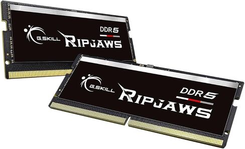 G.SKILL Ripjaws DDR5 SO-DIMM Series DDR5 RAM 64GB (2x32GB) 4800MT/s CL40-39-39-76 1.10V ذاكرة الكمبيوتر المحمول/الكمبيوتر المحمول غير المخزنة غير ECC SODIMM (F5-4800S4039A32GX2-RS) in Saudi Arabia