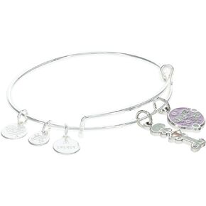 Alex and Ani SpongeBob Squidward Duo Charm Bracelet Shiny Silver One Size