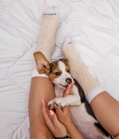 جوارب قوس قزح - للرجال والنساء - صندوق جوارب سوشي زبدة السلمون ماكي - 5 أزواج in Kuwait