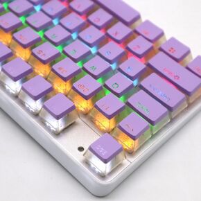 Catekro PBT Keycaps 130 Set for Gaming Mechanical Keyboard, Shine Through Pudding Keycaps Double Shot OEM Profile(Blue)
