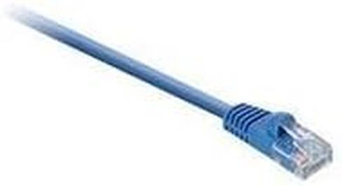 V7 CAT5E كابل التصحيح RJ45 ذكر لذكر، أزرق (1 قدم) in Saudi Arabia