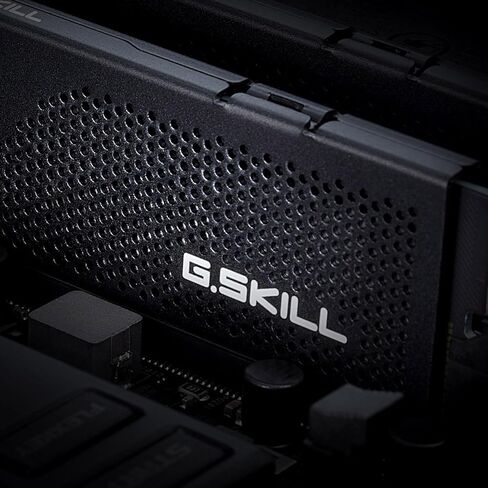 G.SKILL Flare X5 Series (AMD Expo) DDR5 RAM 96GB (2x48GB) 5200MT/s CL40-40-40-83 1.10V Desktop Computer Memory UDIMM - Matte Black (F5-5200J4040A48GX2-FX5) in Saudi Arabia
