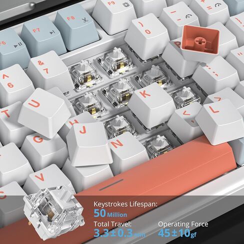 75% Mechanical Keyboard with Volumn Knob, Gasket Hot Swappable RGB Gaming Keyboard, Wired Custom Keyboard with Red Switch, 82 Keys Compact Creamy Keyboard (82 Green White) in Kuwait