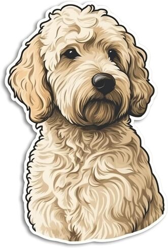 ملصق Golden Doodle - ملصق كمبيوتر محمول 3x3 - فينيل مقاوم للماء للسيارة والهاتف وزجاجة المياه - ملصق Golden Doodle Dog (FBA-DS04) in Kuwait
