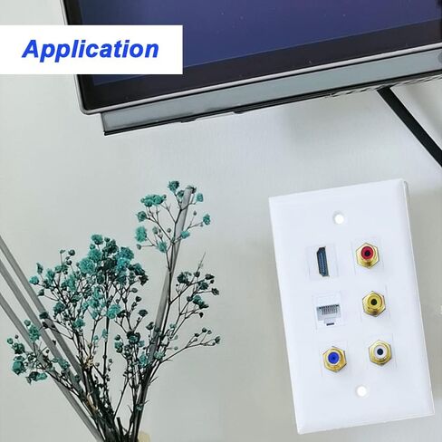 مقبس مقبس RCA Keystone، مقبس موصل RCA مطلي بالذهب مقبس حائط أنثى لحامل لوحة مخرج لوحة الحائط، أحمر/أبيض/أصفر، مع إدخالات مقبس حجر الزاوية الفارغة، مفك براغي (6 عبوات) in Saudi Arabia
