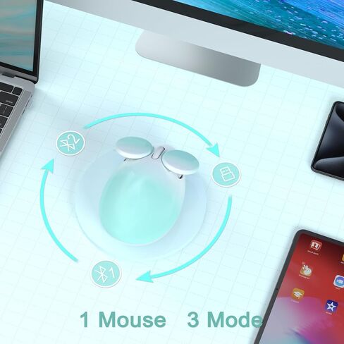ماوس لاسلكي 2.4 جيجا هرتز، ماوس بلوتوث ثنائي القناة، ماوس USB 1600 نقطة في البوصة، شكل ماوس لطيف بأذنين كبيرتين، أزرار قابلة للفصل للكمبيوتر الشخصي والكمبيوتر اللوحي والكمبيوتر المحمول ونظام Windows (أزرق) in Saudi Arabia