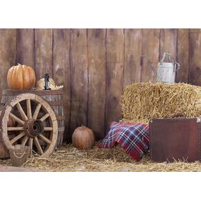 7x5 FT Wild Western Theme Background for Photoshoot(HD Vinyl Not Washable) Seamless Photo Backdrop Cloth Vintage Style Backdrop Fabric Wall Birthday Party Studio Decoration for Photography