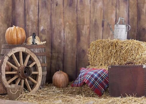 7x5 FT Wild Western Theme Background for Photoshoot(HD Vinyl Not Washable) Seamless Photo Backdrop Cloth Vintage Style Backdrop Fabric Wall Birthday Party Studio Decoration for Photography in Saudi Arabia