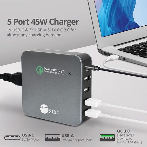 شاحن SIIG USB C 5 منافذ 45 وات مع شحن سريع 3.0، USB Type C & QC 3.0 محطة شحن سطح المكتب بالإضافة إلى حامل منظم للهاتف / الكمبيوتر اللوحي - أسود AC-PW1714-S1 in Saudi Arabia