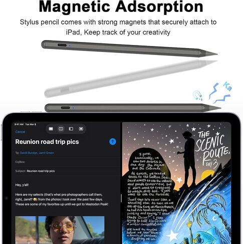 قلم ستايلس لجهاز iPad مع شحن سريع ورفض راحة اليد وحساسية الميل. قلم لجهاز iPad متوافق مع iPad 6/7/8/9/10، iPad Air 3/4/5، iPad Mini 5/6، iPad Pro 11"/12.9" (رمادي) in Saudi Arabia