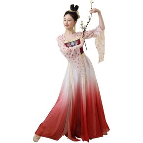 Chinese Hanfu Costume Tang Dynasty for Women Classical Dance Costume Dance Skirts Embroidery Top Red Chinese Style Clothes