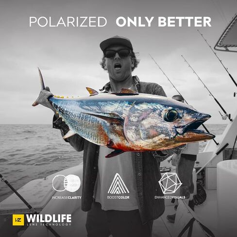 فونزدبر نظارات شمسية مستقطبة للرجال والنساء من ماكسيس، بتصميم ليوبارد شارك ساتان مع عدسات مستقطبة من الكروم الذهبي والبولي كربونات مقاومة للصدمات مع حماية من الاشعة فوق البنفسجية وهيف، 61 ملم، جلد in Kuwait