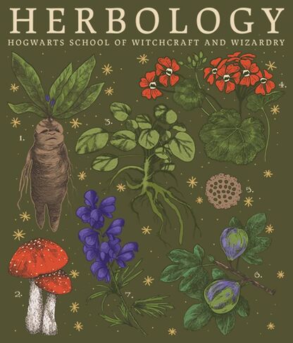 قميص بدون أكمام للسيدات من Harry Potter Deathly Hallows Herbology Junior's Racerback in Saudi Arabia
