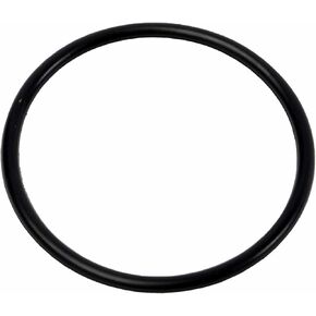GM Genuine Parts 12602379 Fuel Pump Housing Seal
