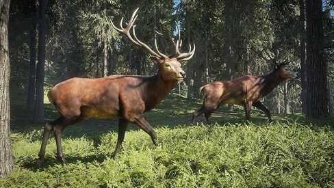 لعبة The Hunter Call Of The Wild إصدار العام (كمبيوتر شخصي) in Saudi Arabia