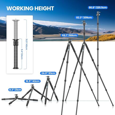 81'' Carbon Fiber Tripod for Camera WEYLLAN Heavy Duty Tripod Camera, 10-Layer Carbon Fiber Tube, 32.5mm Professional Tripod Leg with DSLR Ball Head for Camcorder Telephoto Lens, Max Load 20kg in Saudi Arabia