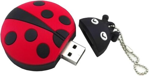 16 جيجابايت أحمر بندريف الخنفساء الحشرات USB فلاش محرك الذاكرة عصا الإبهام in Kuwait