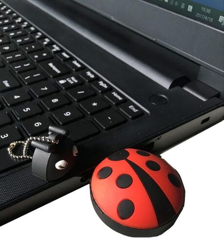 16 جيجابايت أحمر بندريف الخنفساء الحشرات USB فلاش محرك الذاكرة عصا الإبهام in Kuwait