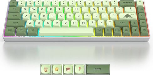 Green Matcha 65% Percent Small Mechanical Keyboard, 68 Key RGB Gaming Keyboard, Red Switch USB-C Wired Keyboard, PBT XDA Keycaps Compact Mini Keyboard for Game, Office (68 Matcha) in Kuwait