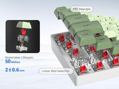 Green Matcha 65% Percent Small Mechanical Keyboard, 68 Key RGB Gaming Keyboard, Red Switch USB-C Wired Keyboard, PBT XDA Keycaps Compact Mini Keyboard for Game, Office (68 Matcha) in Kuwait