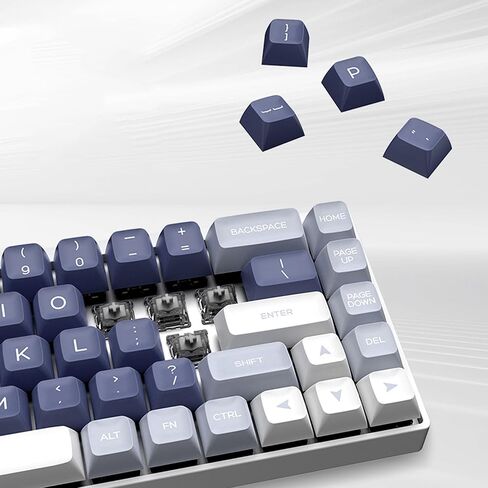 KPREPUBLIC Latenpow Fishing Keycap SA Profile PBT doubleshots للوحة المفاتيح الميكانيكية mx الجذعية 87 TKL 104 ANSI 60 Poker (LTP SA Fishing Keycap x1) in Kuwait