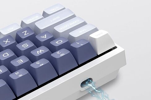 KPREPUBLIC Latenpow Fishing Keycap SA Profile PBT doubleshots للوحة المفاتيح الميكانيكية mx الجذعية 87 TKL 104 ANSI 60 Poker (LTP SA Fishing Keycap x1) in Kuwait
