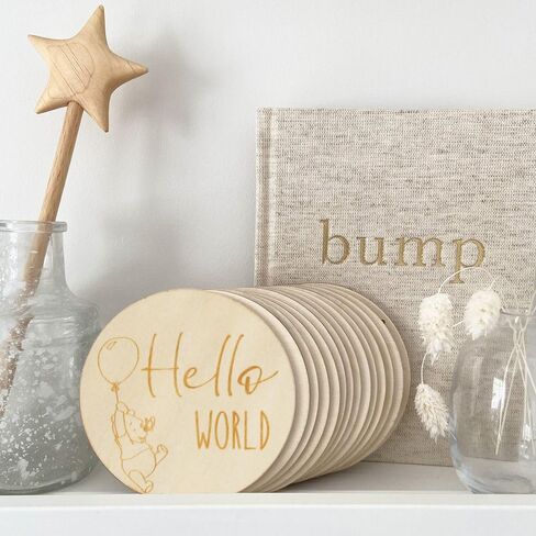 16PCS Baby Monthly Milestone Marker Wooden Discs Newborn Photo Props Compatible with Winnie The Pooh Baby Growth and Pregnancy Growth Cards 1-12 Months Baby Announcement Sign, Bear in Saudi Arabia