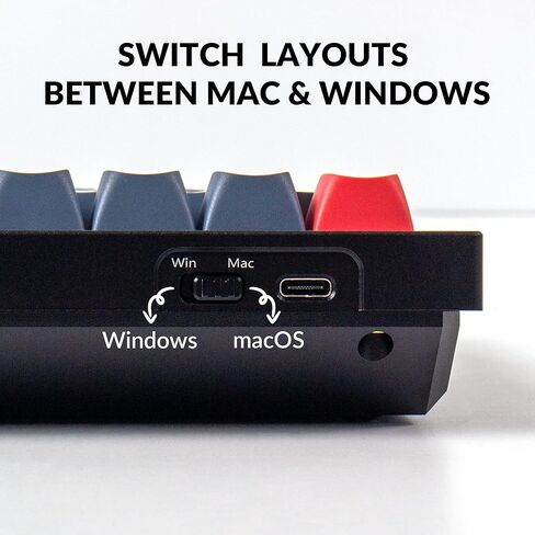 Keychron Q4 Wired Custom Mechanical Keyboard, 60% Layout QMK/VIA Programmable Macro with Hot-swappable Gateron G Pro Red Switch Double Gasket Compatible with Mac Windows Linux (Black) in Saudi Arabia