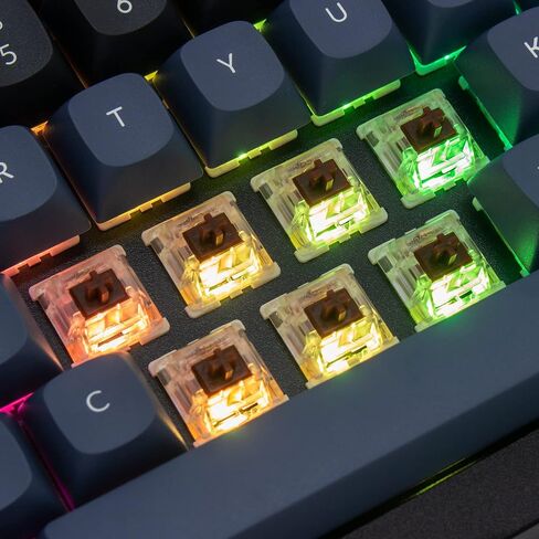 Keychron Q4 Wired Custom Mechanical Keyboard, 60% Layout QMK/VIA Programmable Macro with Hot-swappable Gateron G Pro Red Switch Double Gasket Compatible with Mac Windows Linux (Black) in Saudi Arabia