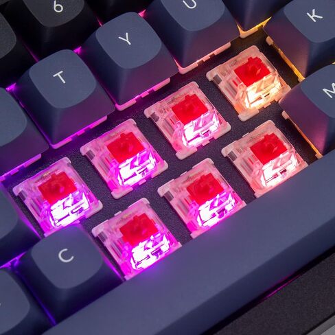 Keychron Q4 Wired Custom Mechanical Keyboard, 60% Layout QMK/VIA Programmable Macro with Hot-swappable Gateron G Pro Red Switch Double Gasket Compatible with Mac Windows Linux (Black) in Saudi Arabia