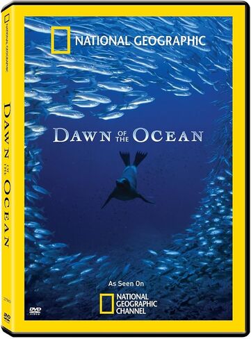 Dawn of the Ocean in Saudi Arabia
