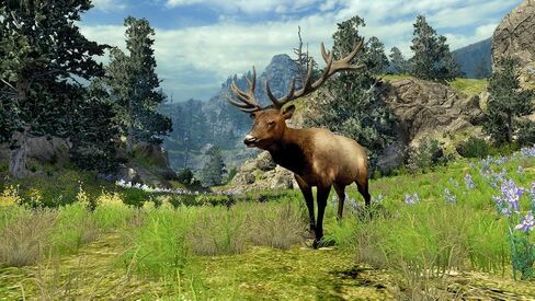Cabela's Big Game Hunter - Xbox 360 (Game Only) (Renewed) in Saudi Arabia
