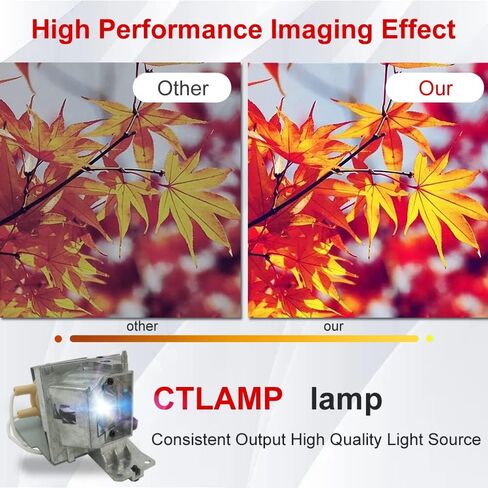 A+ Quality SPLAMP091 / SPLAMP097 Replacement Projector Lamp Bulb with Housing Compatible with Infocus SP-LAMP-091 SP-LAMP-097 IN220 IN222 IN112xa IN114xa IN116xa IN112xv IN114xv IN116xv in Saudi Arabia